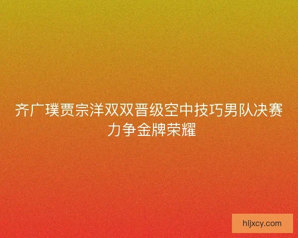 齐广璞贾宗洋双双晋级空中技巧男队决赛 力争金牌荣耀